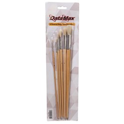 DataMax Round Bristle Brush 6 Pack