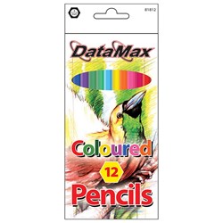 DataMax Coloured Pencils Pack of 12