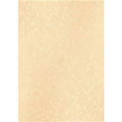 DataMax 900115 A4 90GSM Parchment Paper 25 Pieces Light Brown - Theodist