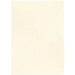 DataMax 900116 A4 90GSM Parchment Paper 25 Pieces Milk White - Theodist