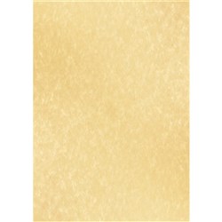 DataMax 900118 A4 90GSM Parchment Paper 25 Pieces Milk Yellow - Theodist