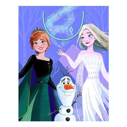 Artwrap Disney Frozen 2 Medium Gift Bag