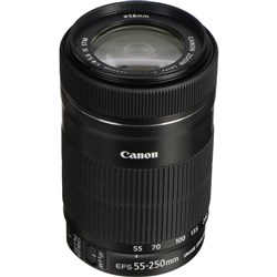 Canon EF-S 55-250mm f/4-5.6 IS STM Lens - Theodist