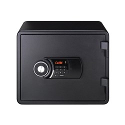 Eagle Safes Home Elect+Key Lock Safe, Black - Theodist