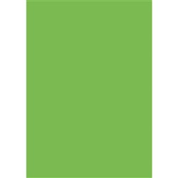 DataMax 500x700mm Tissue Paper Pack of 100 - Green
