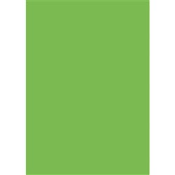 DataMax 500x700mm Tissue Paper Pack of 100 - Green