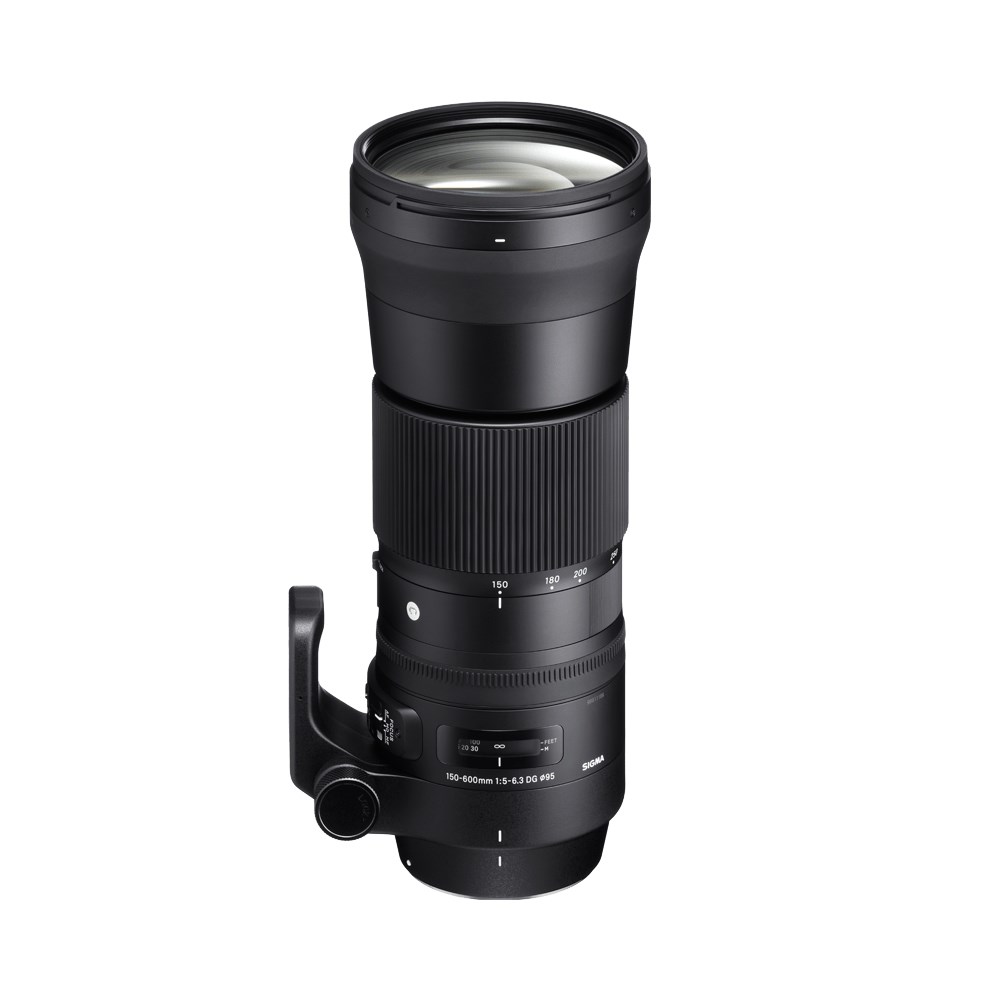 【新品】SIGMA 150-600mm F5-6.3 DG ニコンF Nikon Amazon.com : Sigma 150-600mm 5-6.3 Sports DG OS HSM Lens for