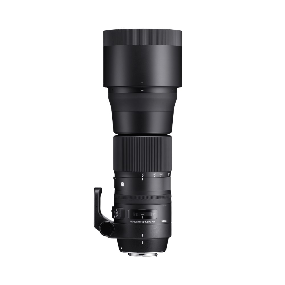 Sigma 150-600mm HSM S F5-6.3 DG OS Lens for Nikon F - Theodist