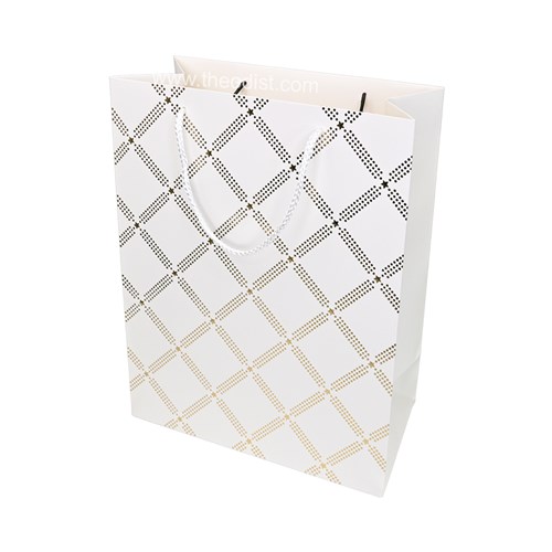 Gift Bag Criss Cross Assorted Colours Medium 26x32x12cm_1 - Theodist