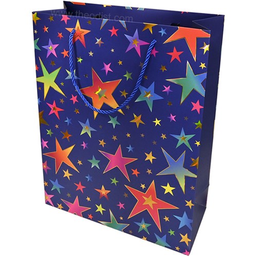 Gift Bag Assorted Designs Large 31x42x12cm_4 - Theodist