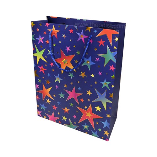 Gift Bag Assorted Designs Medium 26x32x10cm_4 - Theodist
