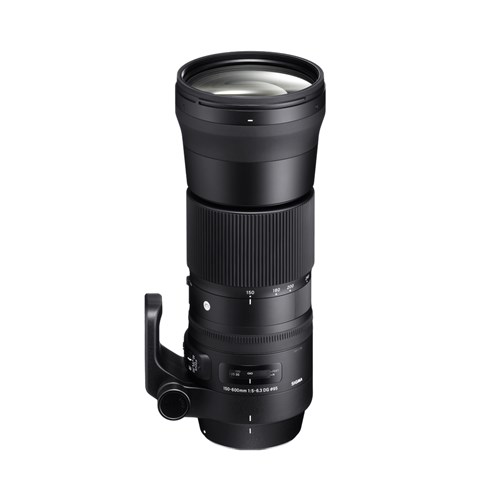 Sigma 150-600mm HSM S F5-6.3 DG OS Lens for Nikon F - Theodist