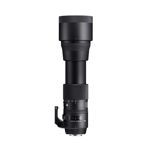 【新品】SIGMA 150-600mm F5-6.3 DG ニコンF Nikon homeshop_s3404-sig-8096