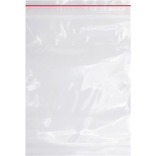 DataMax 5250 MiniGrip Resealable Bags 230x305mm 100 Pack - Theodist