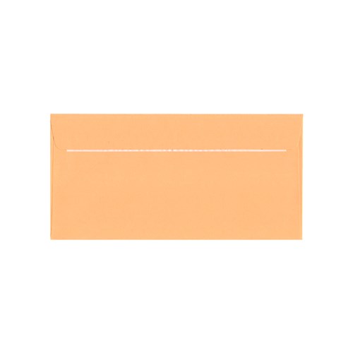 DataMax 65140 DL Gold Kraft Plain Envelopes 110x220mm 100 Pack_1 - Theodist