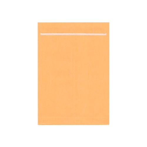 DataMax 65150 B5 Gold Kraft Plain Envelopes 178x254mm 100 Pack_1 - Theodist