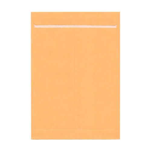 DataMax 65160 C4 Gold Kraft Plain Envelopes 229x324mm 100 Pack_1 - Theodist