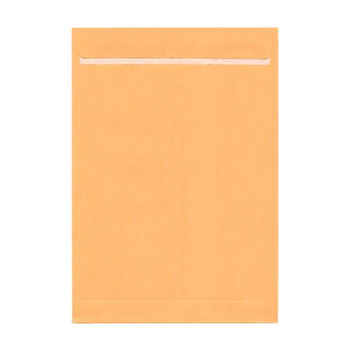 DataMax 65162 C4 Gold Kraft Plain Envelopes 229x324mm 25 Pack_1 - Theodist