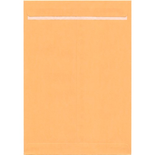 DataMax 65182 C3 Gold Kraft Plain Envelopes 324x458mm 25 Pack_1 - Theodist