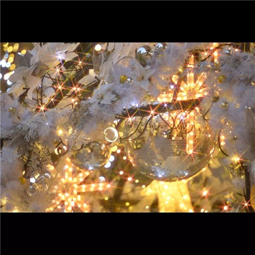 Hoya 67mm Star 6X Filter 67S6X_2 - Theodist