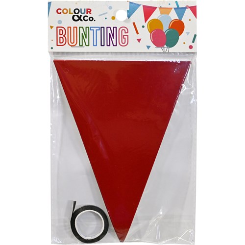 Colour & Co. Bunting Triangular 12 Flags 13x18cm with 5m Ribbon, Assorted Colour_2 - Theodist