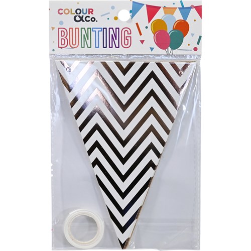Colour & Co. Bunting Triangular 12 Flags 13x18cm with 5m Ribbon, Assorted Colour_4 - Theodist