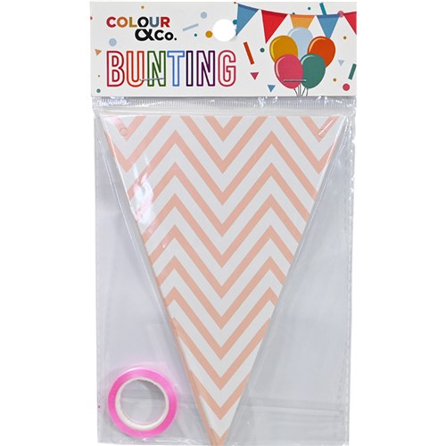 Colour & Co. Bunting Triangular 12 Flags 13x18cm with 5m Ribbon, Assorted Colour_1 - Theodist