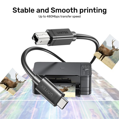 Unitek C14140ABK03-1M USB-C to USB-B 1M Data & Charging Cable 480Mbps_3 - Theodist
