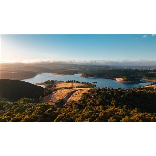 DJI Lito X1 Drone Fly More Combo Plus (DJI RC 2) CP.MA.00000976.01_10 - Theodist