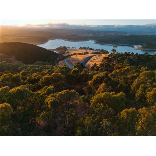 DJI Lito X1 Drone Fly More Combo Plus (DJI RC 2) CP.MA.00000976.01_9 - Theodist