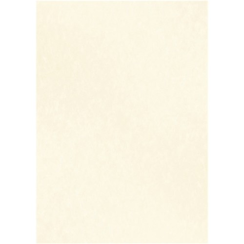 DataMax DMC115 Certificate Paper Parchment A4 90GSM - Ivory, Light Brown, Stone Beige - Theodist
