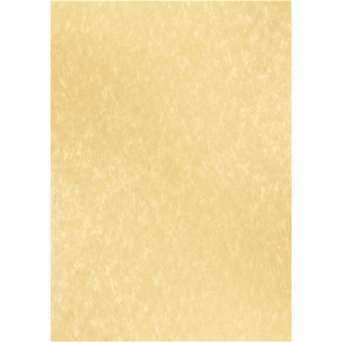 DataMax DMC115 Certificate Paper Parchment A4 90GSM - Ivory, Light Brown, Stone Beige_1 - Theodist