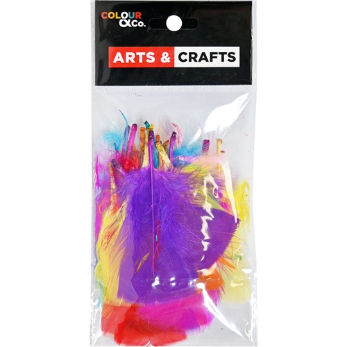Colour & Co. FEA001 Feathers Assorted Colours & Sizes, 50 Pack - Theodist