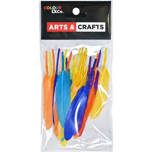 Colour & Co. FEA002 Feather Assorted Coulours, 8-12cm, 25 Pack - Theodist