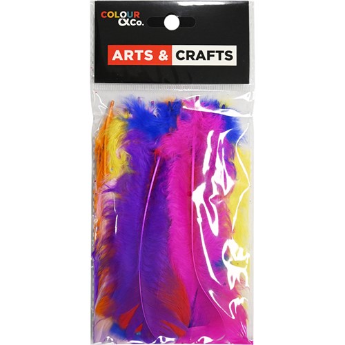 Colour & Co. FEA004 Feathers Assorted Colours, 15-20cm, 25 Pack - Theodist