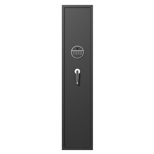 Shotgun Locker, Black, 300Lx300Wx1380H - Theodist