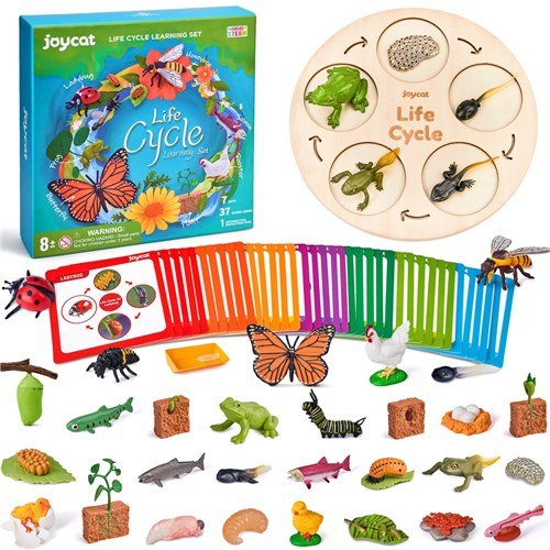 JoyCat Life Cycle Learning Set 8± - Theodist