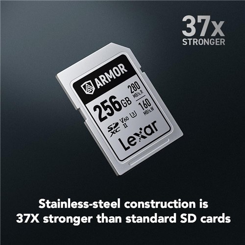 Lexar SDXC UHS-II 256GB Armor Silver Pro Memory Card V60II 280MBsR 160MBsW, 843367138524_1 - Theodist