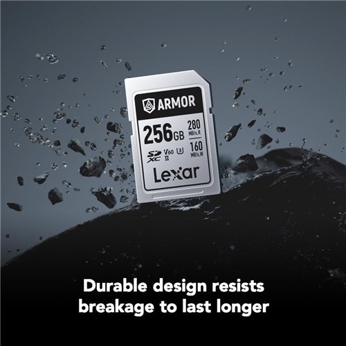 Lexar SDXC UHS-II 256GB Armor Silver Pro Memory Card V60II 280MBsR 160MBsW, 843367138524_3 - Theodist