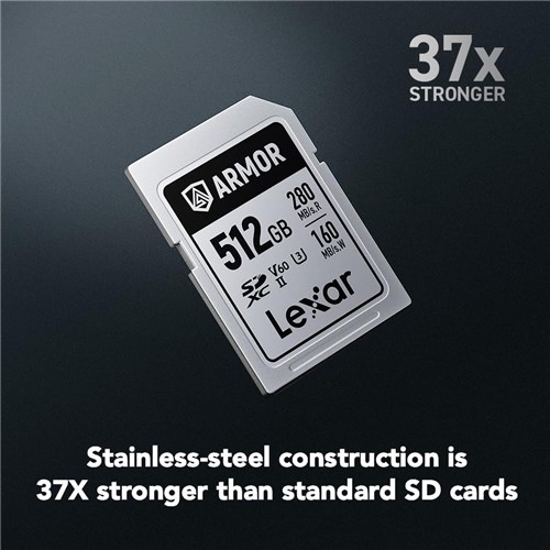 Lexar SDXC UHS-II 512GB Armor Silver Pro Memory Card 280MBs(R) 160MBs(W) V60, 843367138531_1 - Theodist