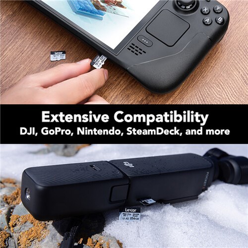 Lexar Micro SDXC UHS-I 256G Silver Plus Memory Card C10 U3 V30 205MBsR 150MBs + SD Adapter_3 - Theodist