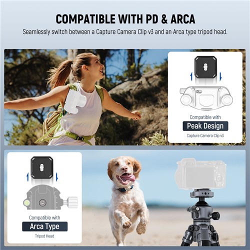 Neewer LT07 Aluminum Tripod with Ball Head_5 - Theodist