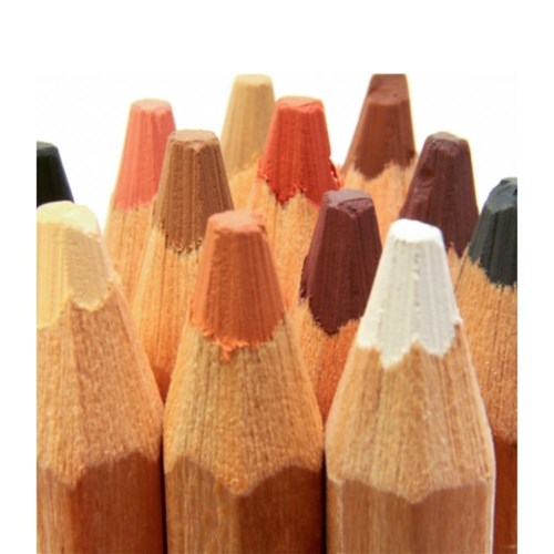 Skin Tints Pastel Pencils Signature 12pc_2 - Theodist