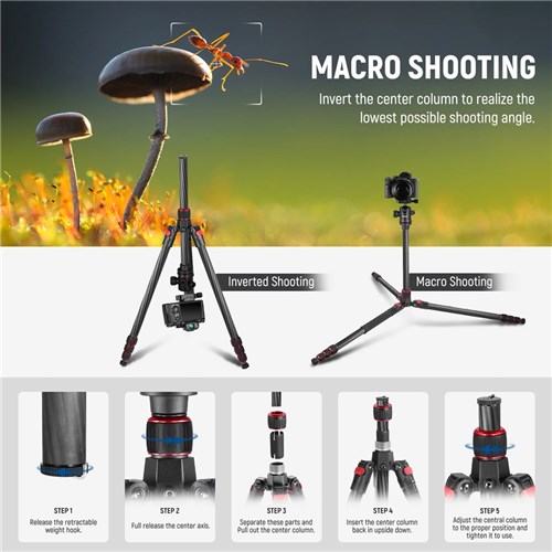 Neewer N55C Carbon Fiber Camera Tripod/Monopad with Ball Head_3 - Theodist