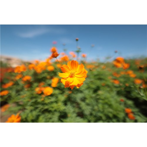 Canon RF 14mm f/1.4L VCM Lens_10 - Theodist