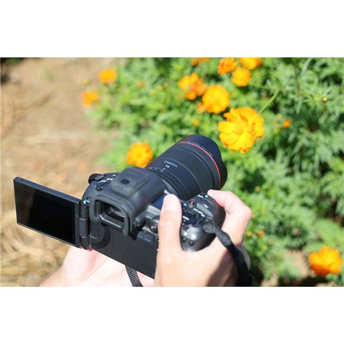 Canon RF 14mm f/1.4L VCM Lens_9 - Theodist