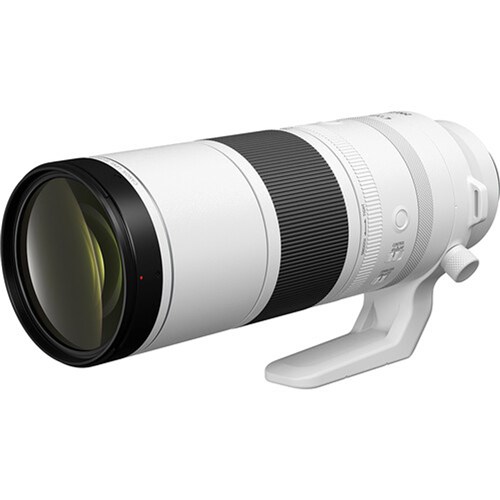 Canon RF 200-800mm f/6.3-9 IS USM Camera Lens_2 - Theodist