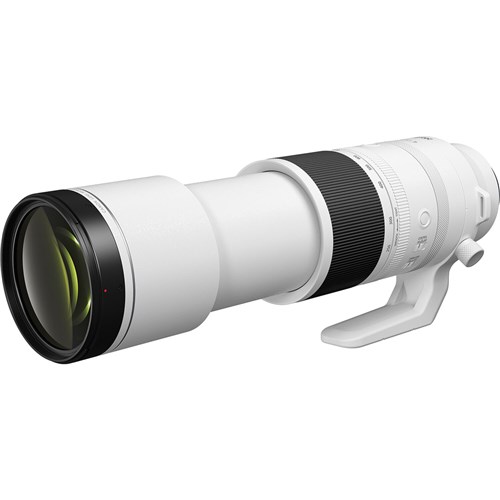 Canon RF 200-800mm f/6.3-9 IS USM Camera Lens_5 - Theodist