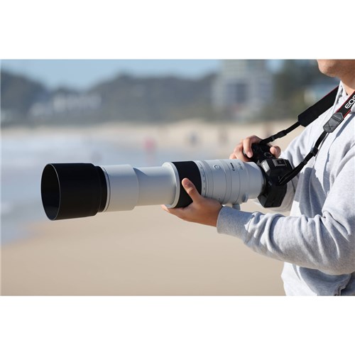 Canon RF 200-800mm f/6.3-9 IS USM Camera Lens_7 - Theodist
