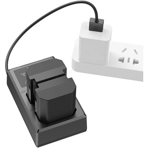 SmallRig NP-FZ100 Camera Battery and Charger Kit_6 - Theodist